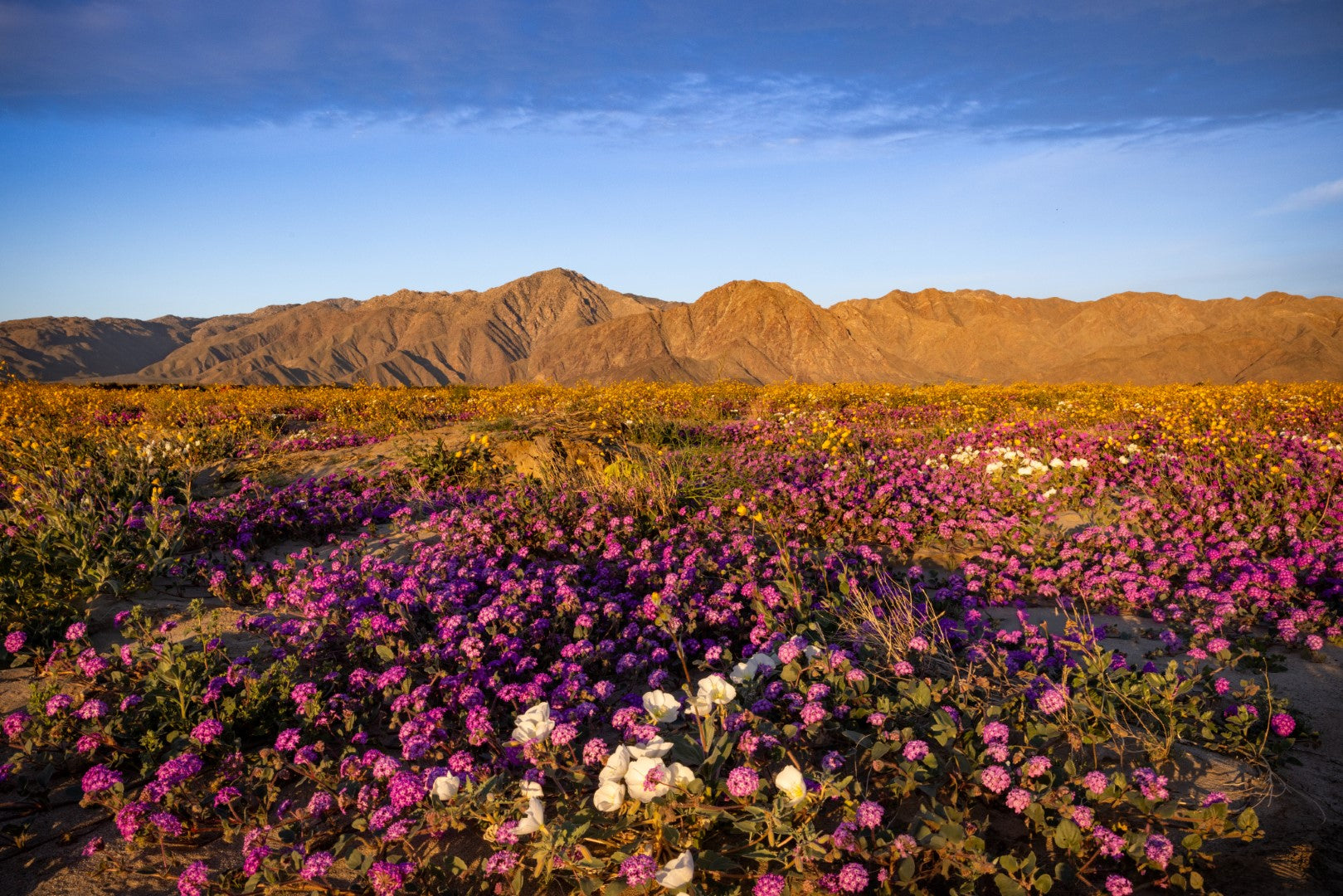 11x17 Metal Wall Print