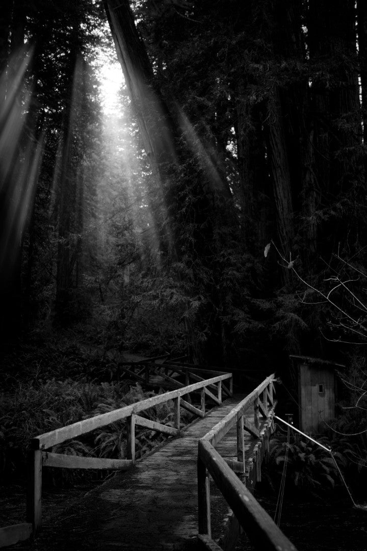 11x17 Metal Wall Print