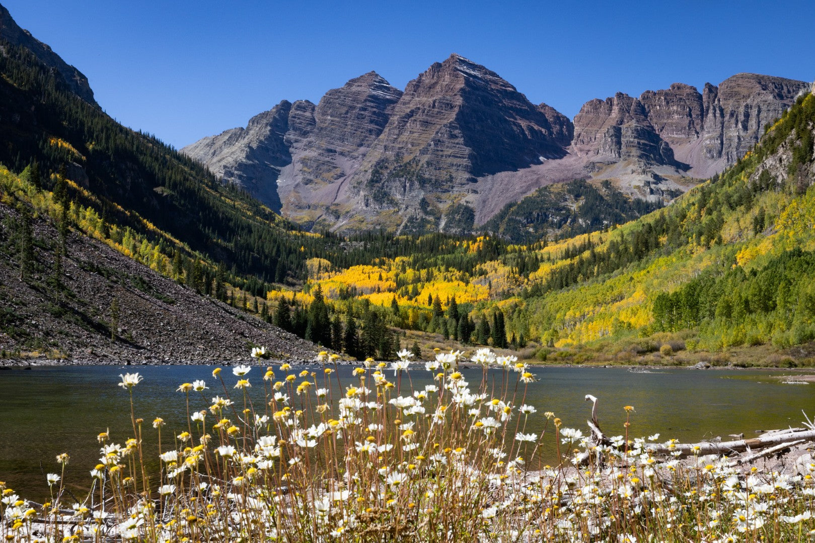 11x17 Metal Wall Print